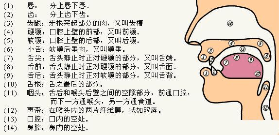 普通话 汉语拼音字母表 2 Wa Csdn博客